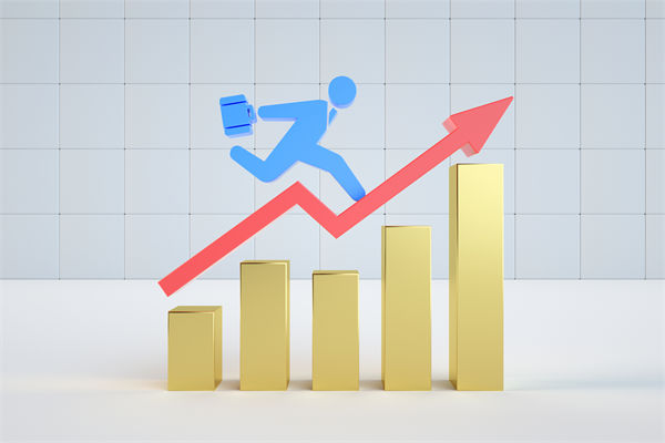 如何构建可持续的组织规划管理框架以支持未来发展？