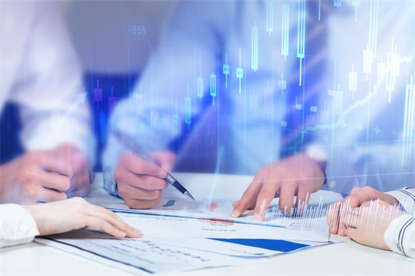 在预算执行中，如何确保监控与调整机制的有效性？