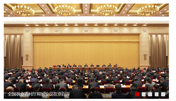 农业农村部：培育壮大农业科技领军企业，加快种业、农机装备、智慧农业等领域攻关突破 